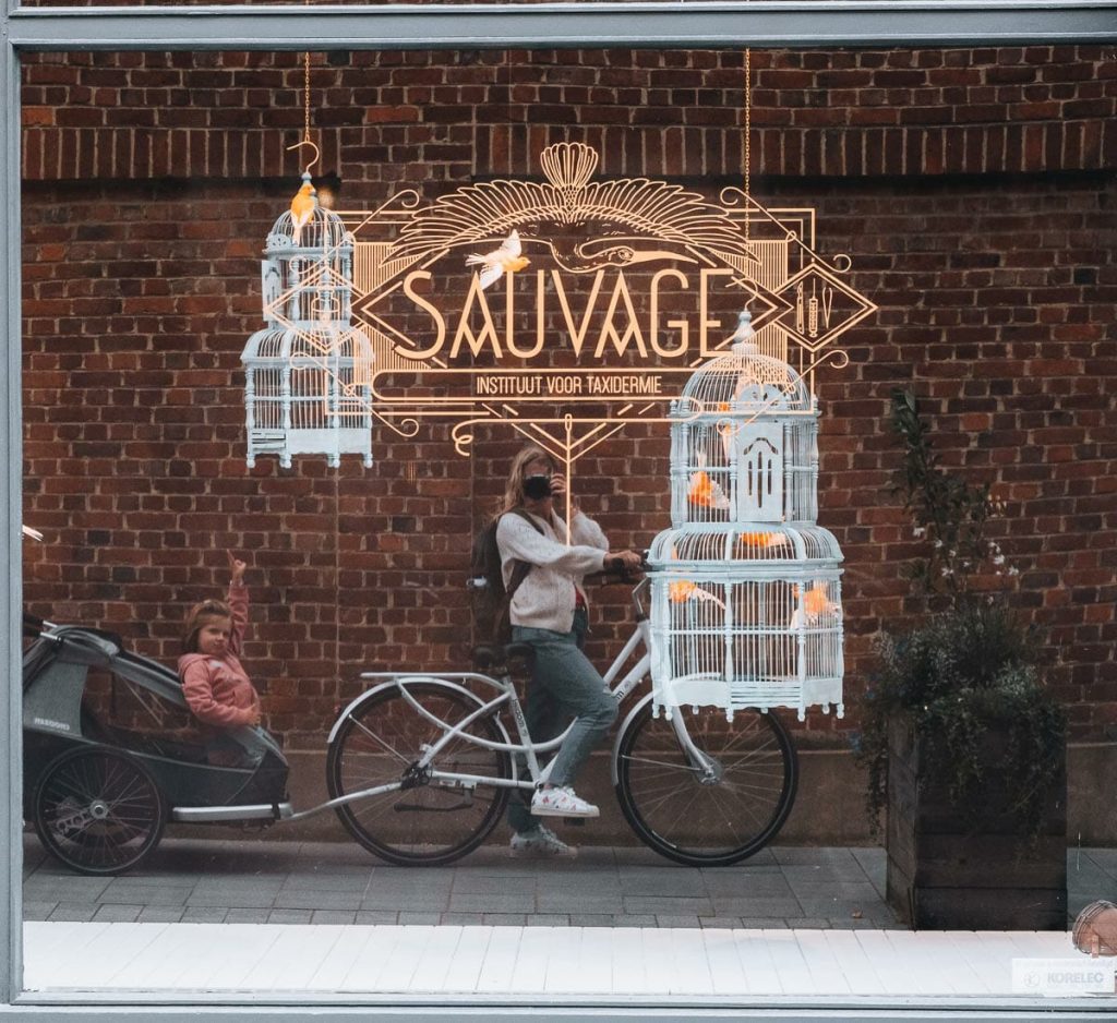 visiter gand en vélo