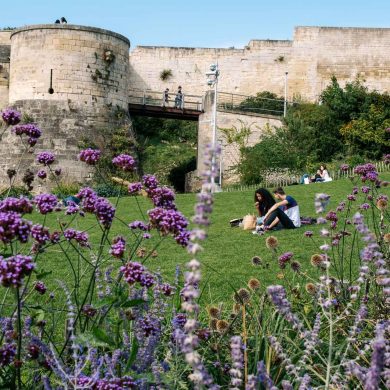 visiter caen et ses environs