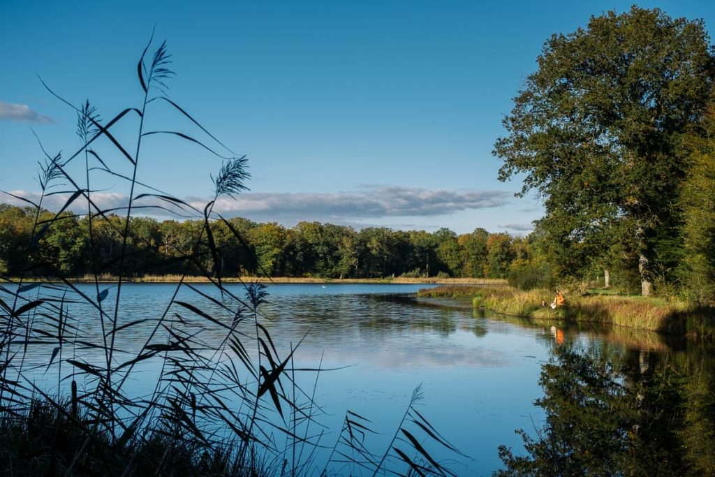 lac du der