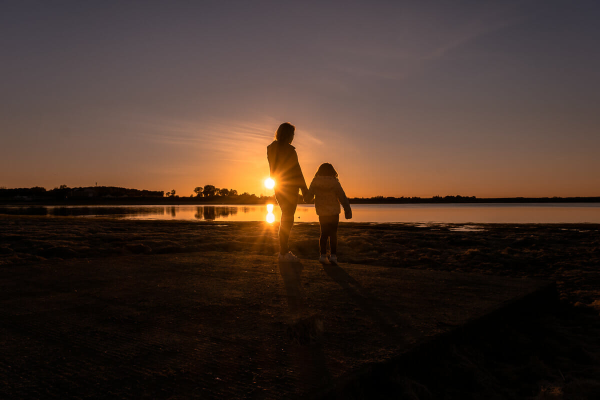 lac du der observation oiseaux