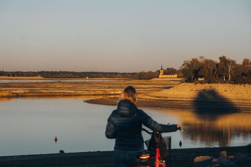 lac du der observation oiseaux