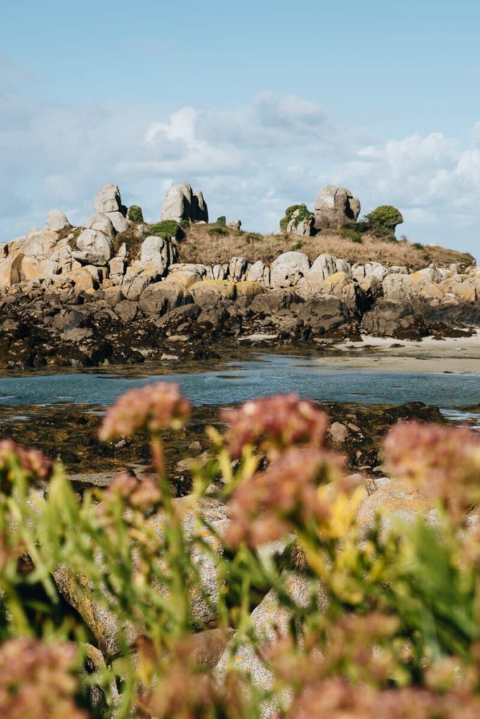 visiter les iles chausey