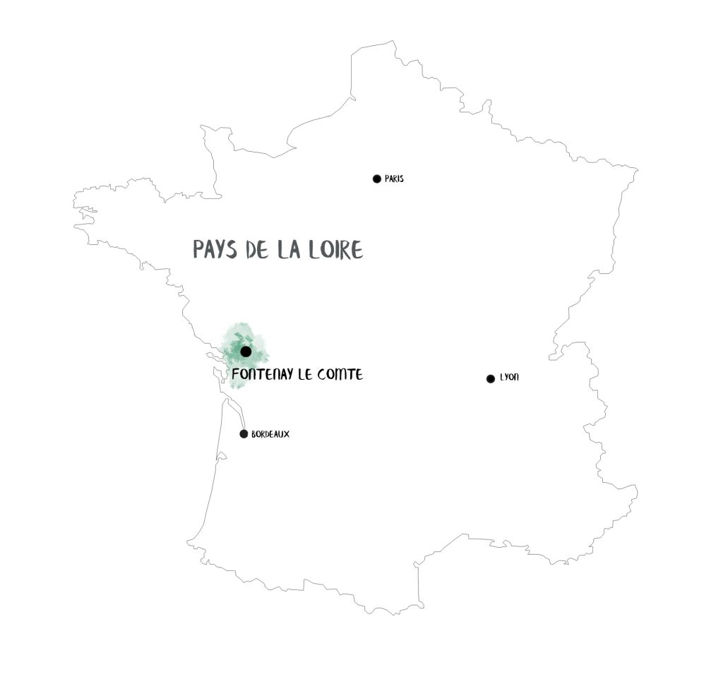 carte fontenay le comte