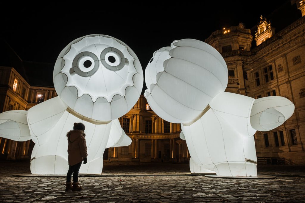 visiter chateau de la loire blois