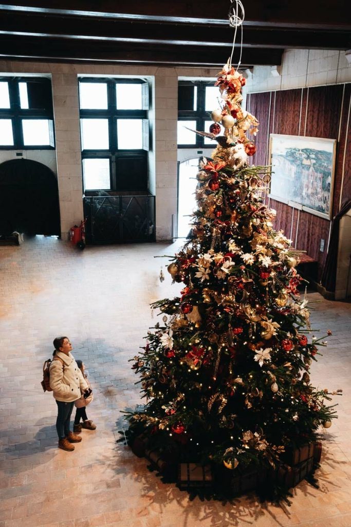 visiter chateau de la loire chambord