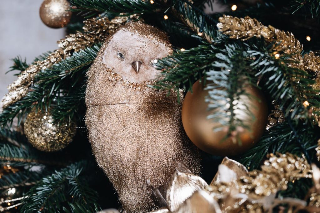 visiter chateau de la loire chambord
