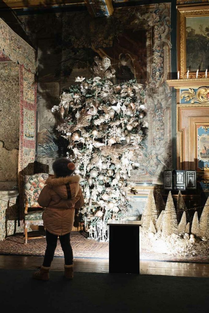 visiter chateau de la loire cheverny