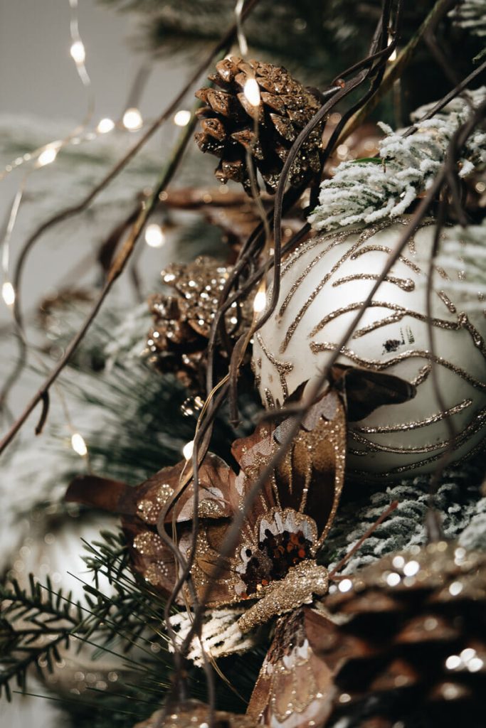 visiter chateau de la loire