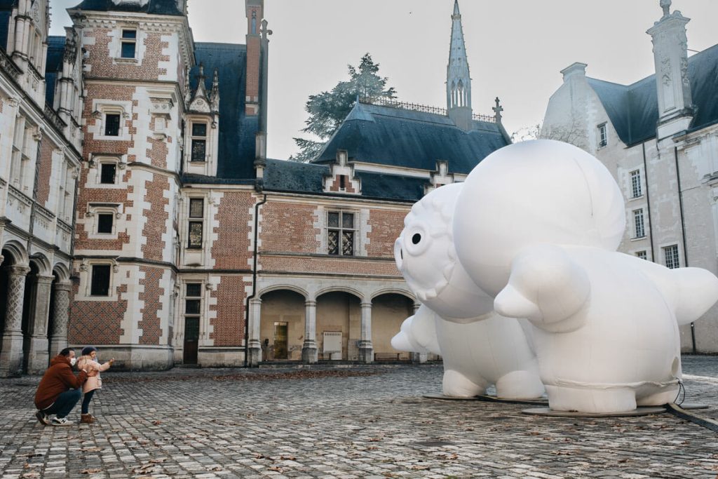 visiter chateau de la loire blois