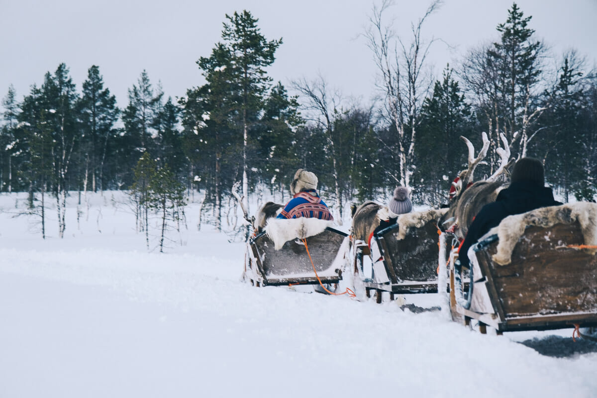 activités laponie rennes