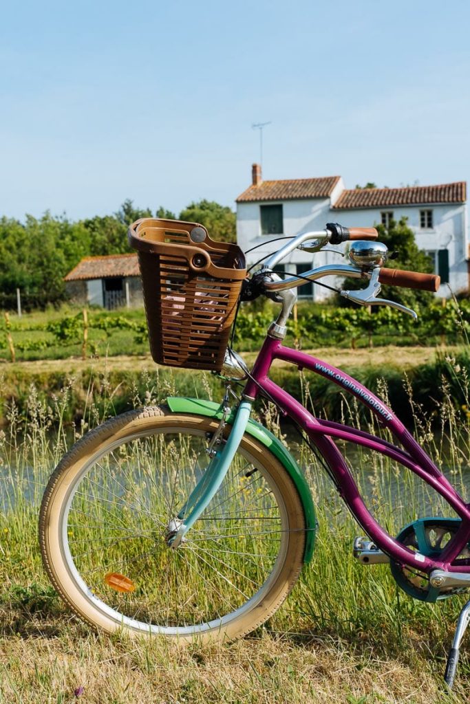 weekend marais poitevin