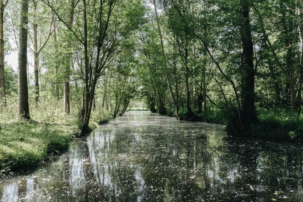 weekend marais poitevin