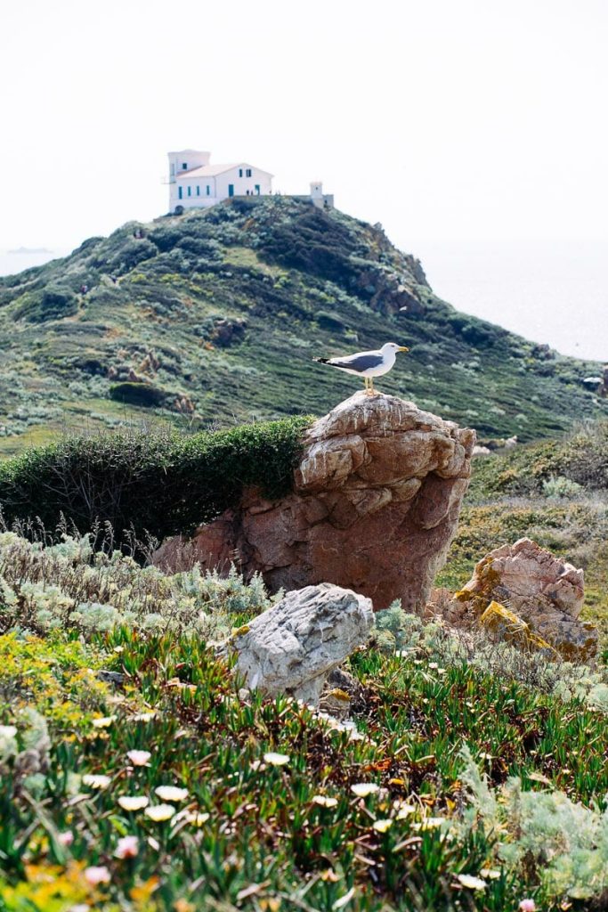visiter corse du nord