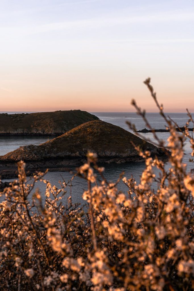 visiter paimpol