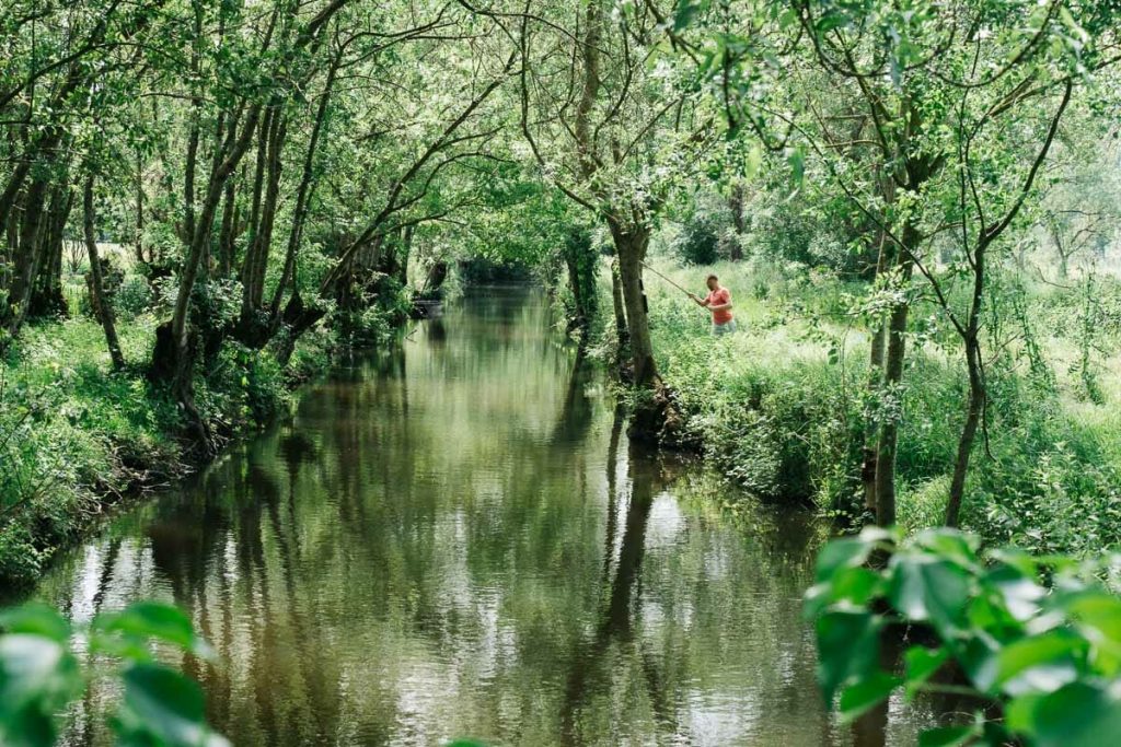 weekend marais poitevin