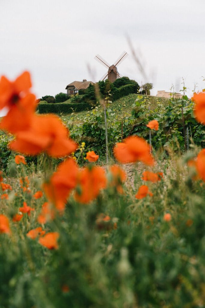 visiter reims weekend