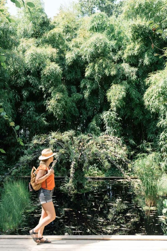 visiter chateau de la loire