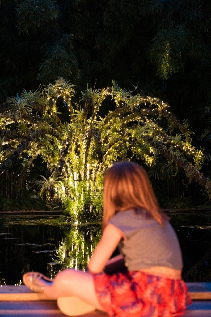 visiter chateau de la loire