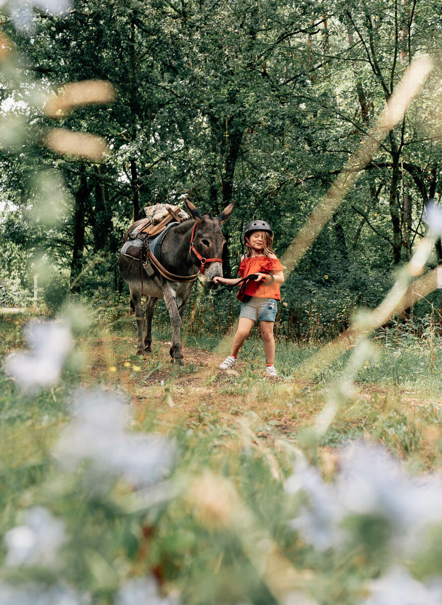 ane chateau de la loire