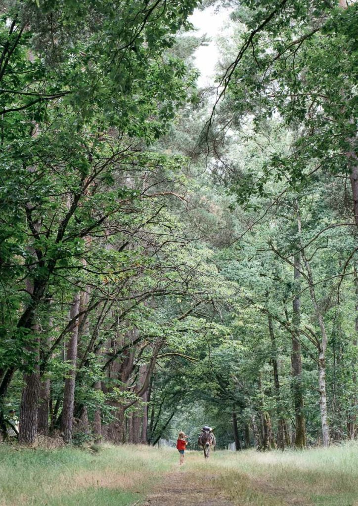 visiter chateau de la loire