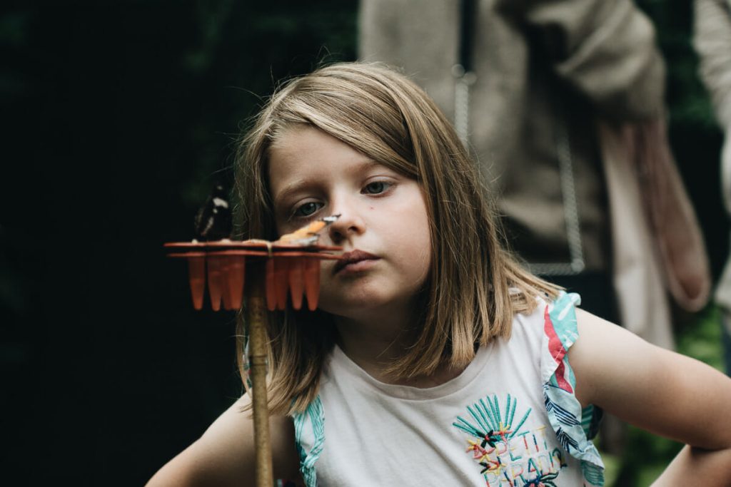 visiter honfleur et ses environs