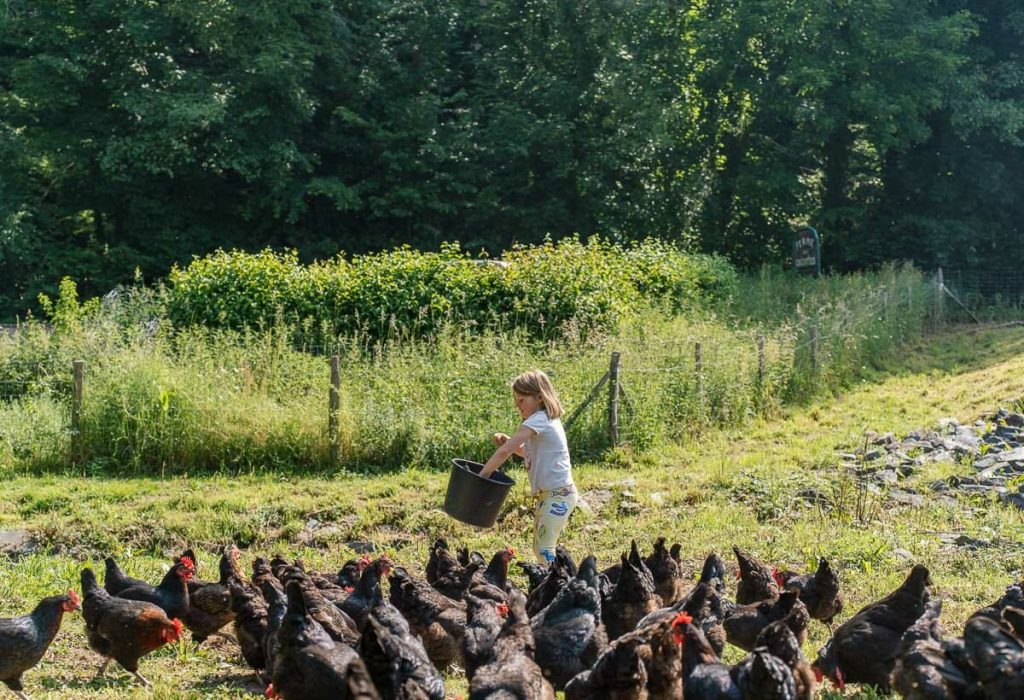 visiter honfleur et ses environs