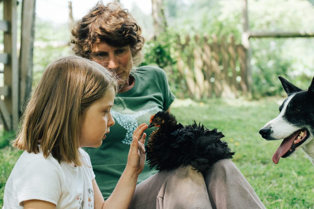 visiter honfleur et ses environs