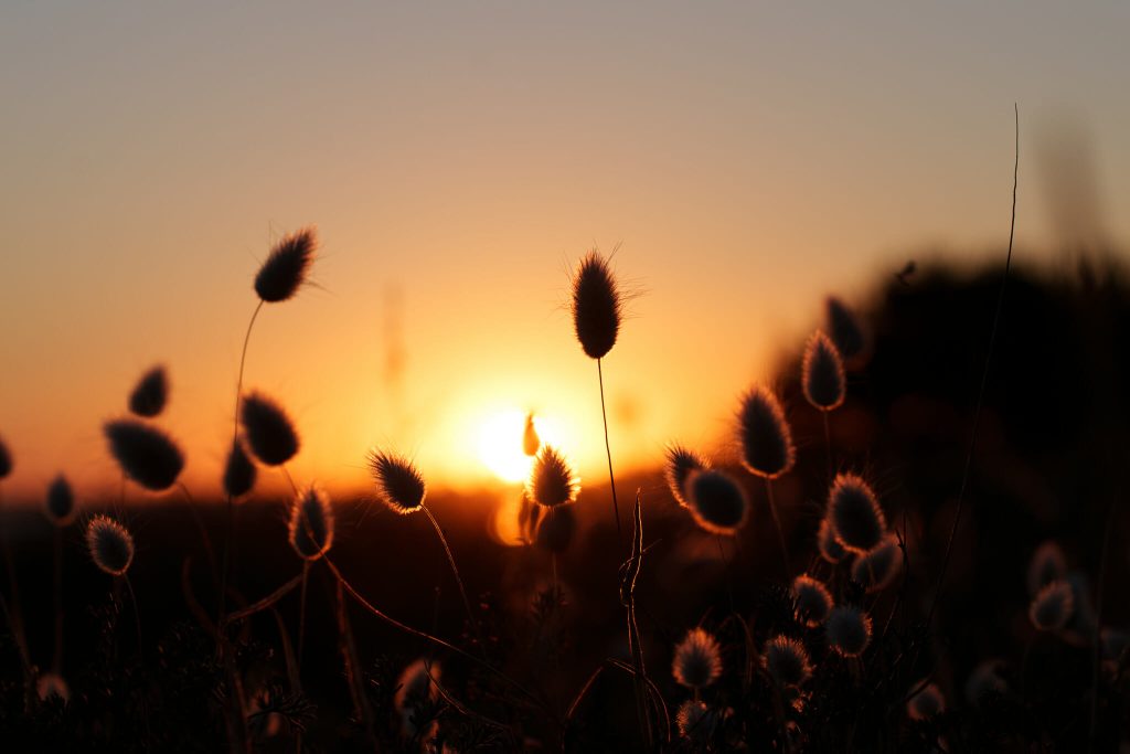 visiter la tranche sur mer