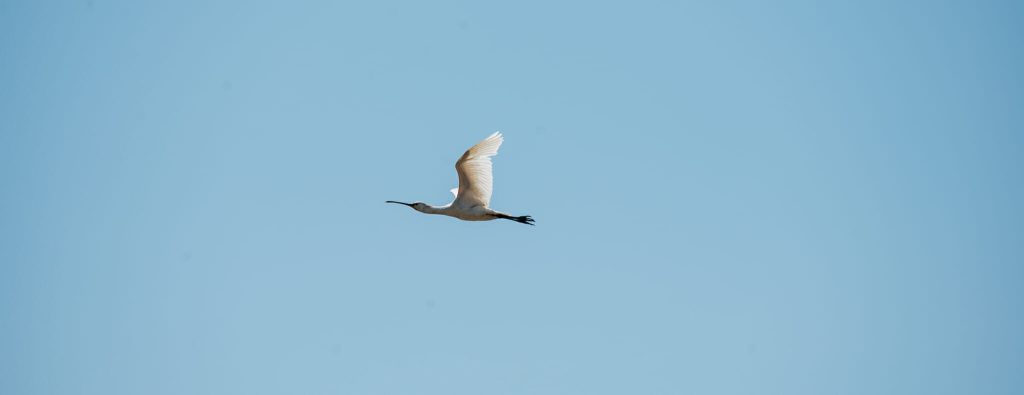 visiter la tranche sur mer