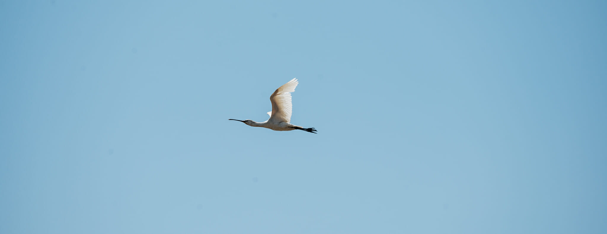 visiter la tranche sur mer