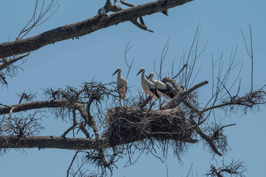 visiter la tranche sur mer
