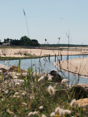 visiter la tranche sur mer