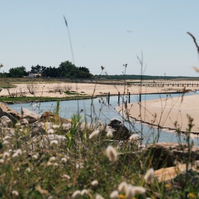 visiter la tranche sur mer