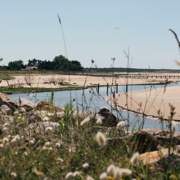 visiter la tranche sur mer