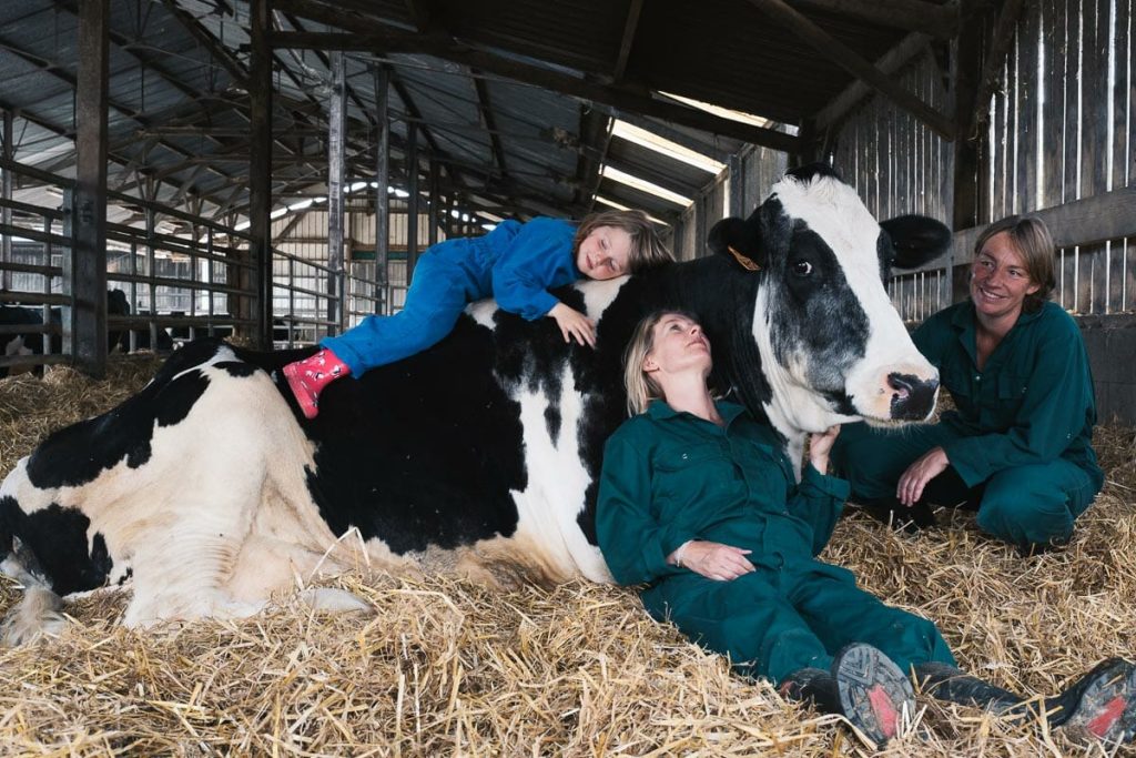 visiter le mans et ses environs