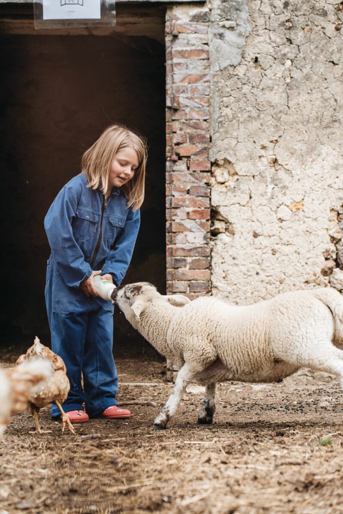 visiter le mans et ses environs