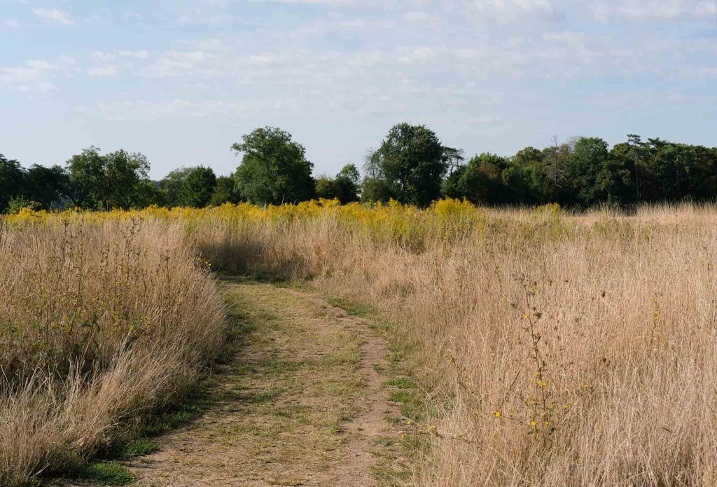 visiter Auvers-Sur-Oise