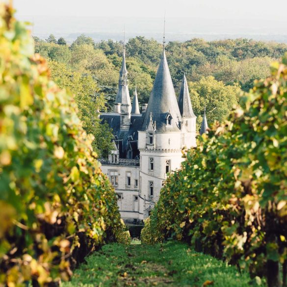 visiter nevers et ses environs