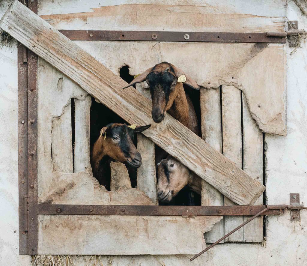 visiter Ferme de Port-Aubry