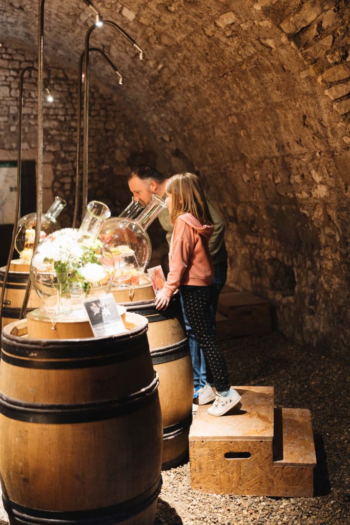 visiter Tour du Pouilly-Fumé