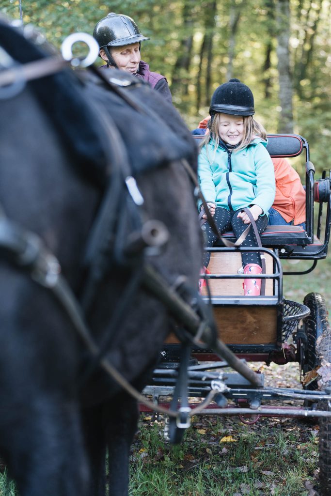 faire de l'ane a nevers
