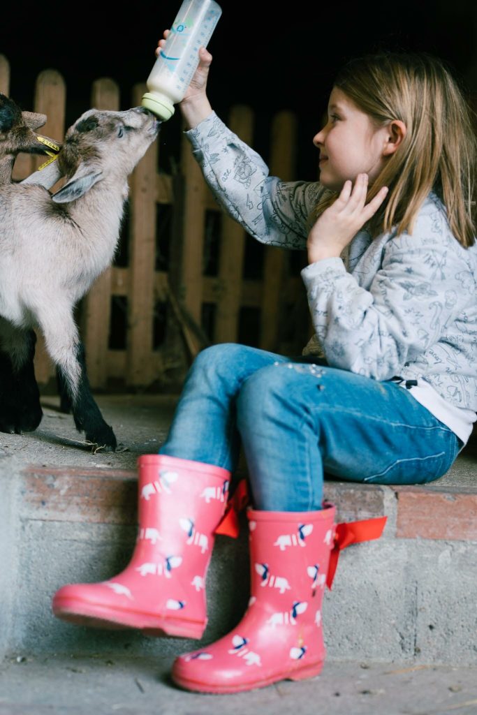 visiter Ferme de Port-Aubry