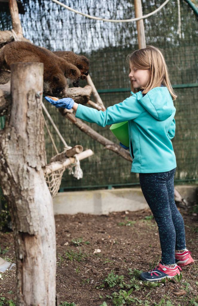 Zoo de la Haute-Touche apprenti soigneur