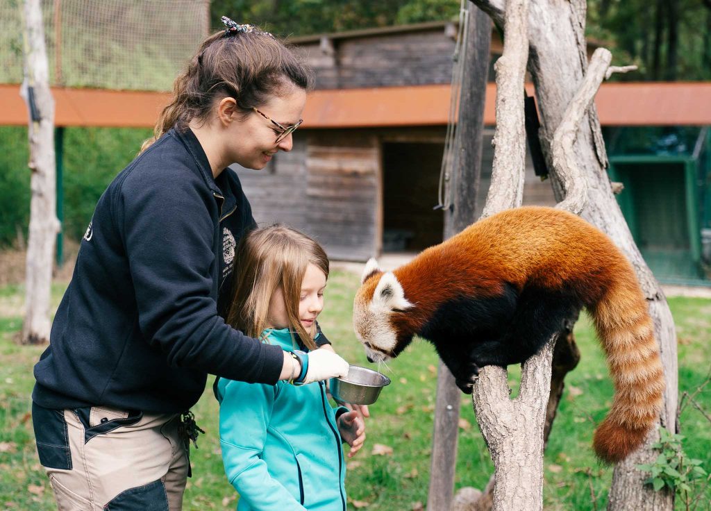 Zoo de la Haute-Touche apprenti soigneur