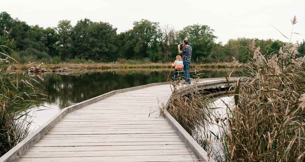 Parc Naturel de la Brenne dans l’Indre
