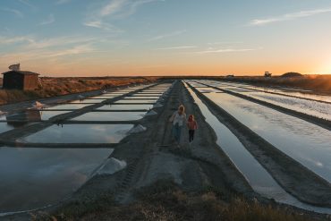 saline ile de ré