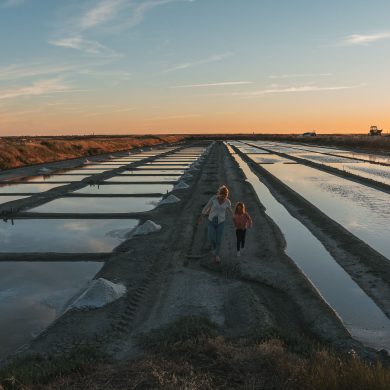 saline ile de ré