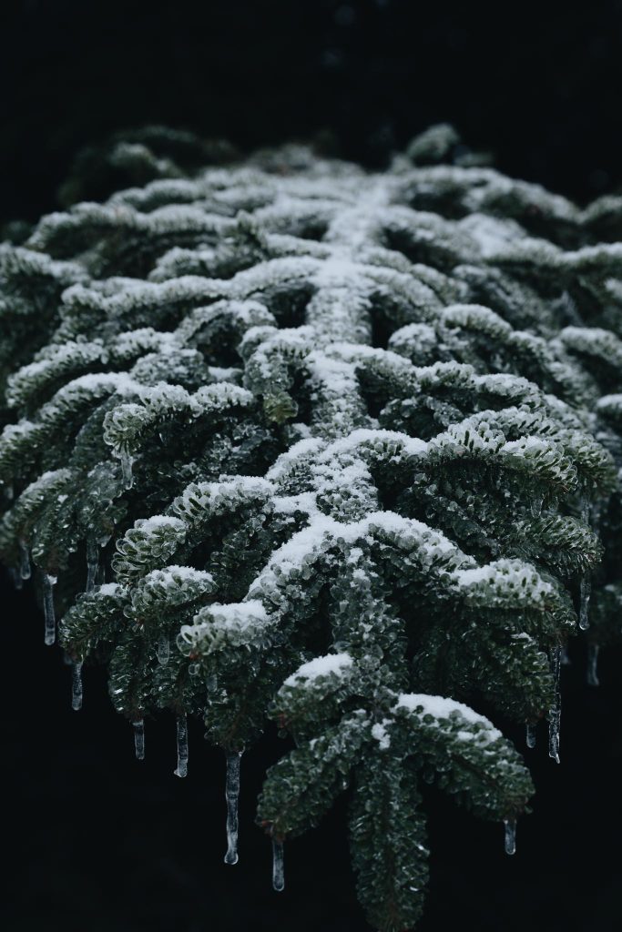 Ecomusée d’Alsace