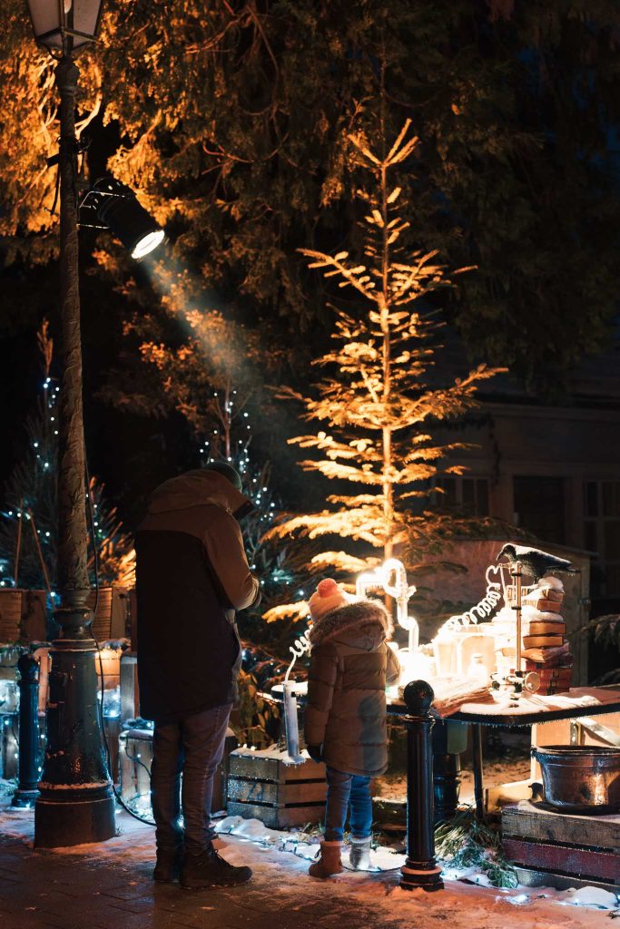 Altkirch et sa Forêt Enchantée