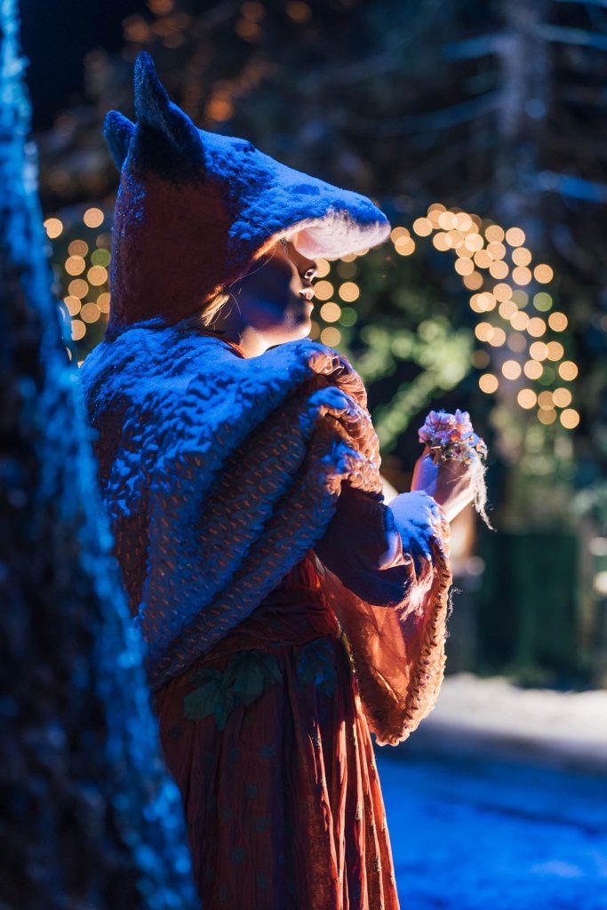 Altkirch et sa Forêt Enchantée